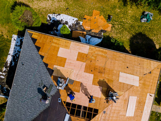 Best Shingle Roofing Installation  in Dublin, GA