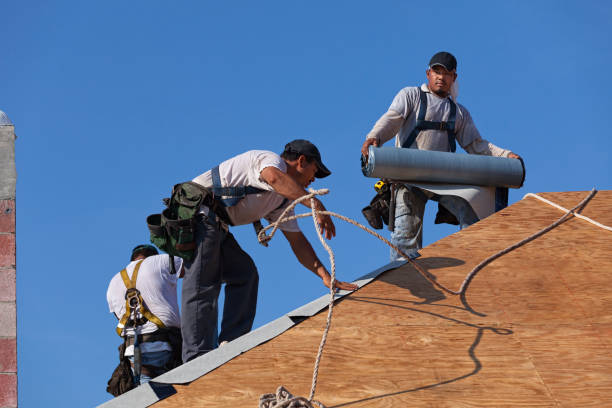 Best Commercial Roofing Services  in Dublin, GA