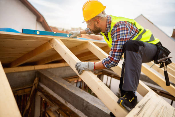Best Roof Gutter Cleaning  in Dublin, GA