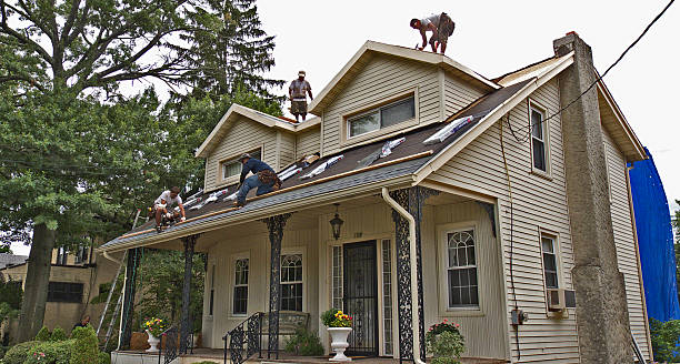 Best Metal Roofing Contractor  in Dublin, GA
